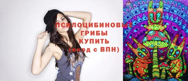 МДПВ Болотное