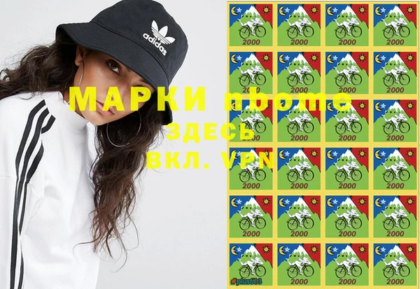 МДПВ Болотное