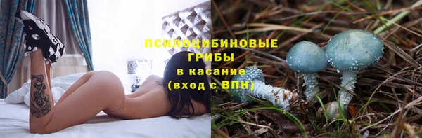 МДПВ Болотное