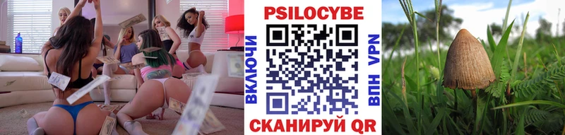 хочу наркоту  Выборг  мориарти клад  Галлюциногенные грибы Magic Shrooms 