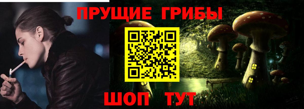 Галлюциногенные грибы Psilocybine cubensis Выборг