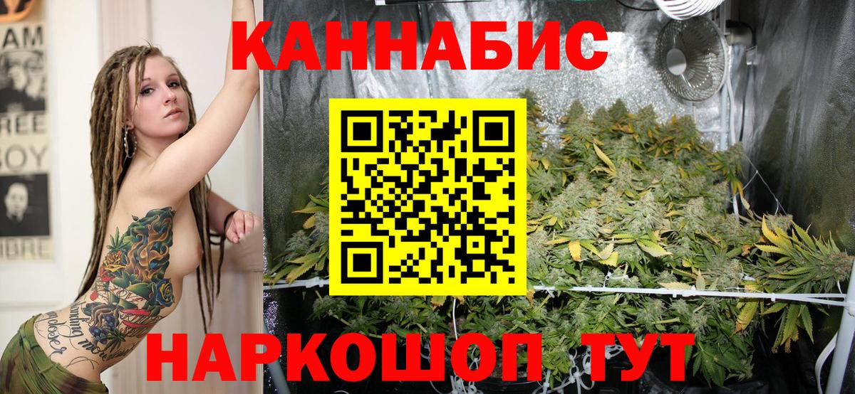 Шишки марихуана Ganja  Выборг  Марихуана конопля  Бошки марихуана SATIVA & INDICA 